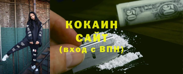 сатива Кулебаки