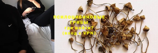 соль ск Кукмор