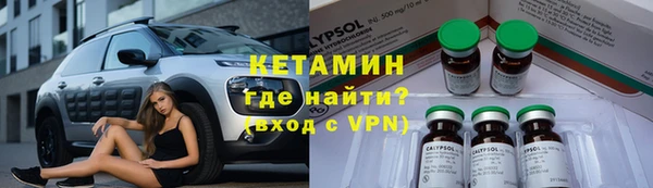 сатива Кулебаки