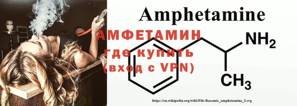 сатива Кулебаки