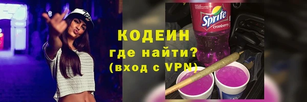 сатива Кулебаки