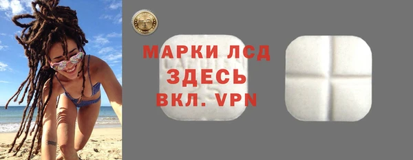 сатива Кулебаки
