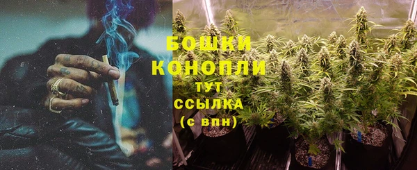 соль ск Кукмор