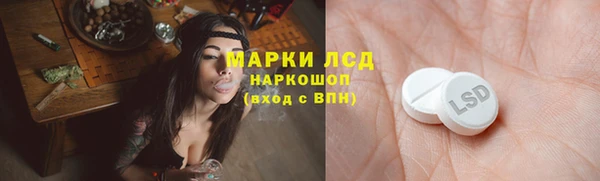 сатива Кулебаки