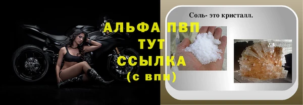 соль ск Кукмор