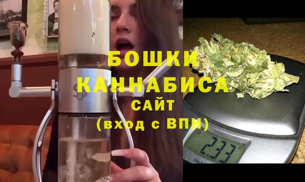 сатива Кулебаки