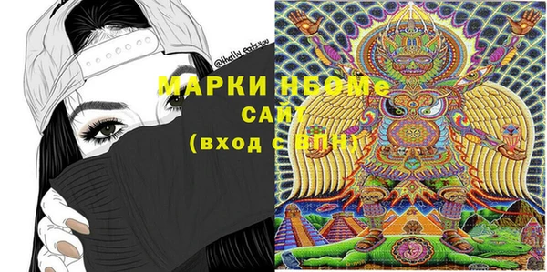 сатива Кулебаки