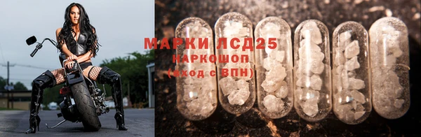 соль ск Кукмор