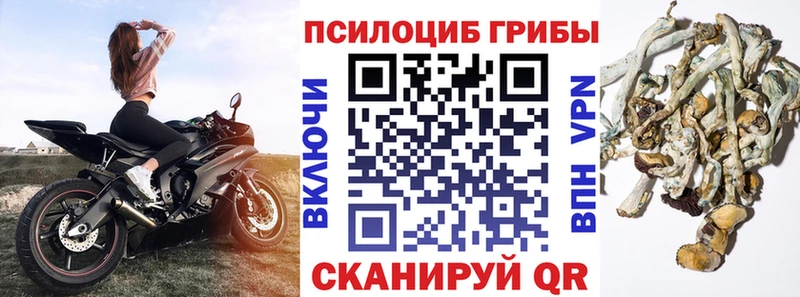 Псилоцибиновые грибы GOLDEN TEACHER  Купить закладки  Октябрьск 